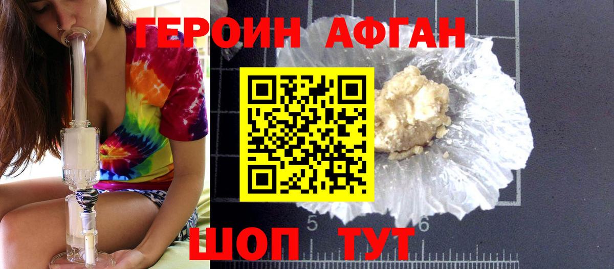 ГЕРОИН хмурый Элиста