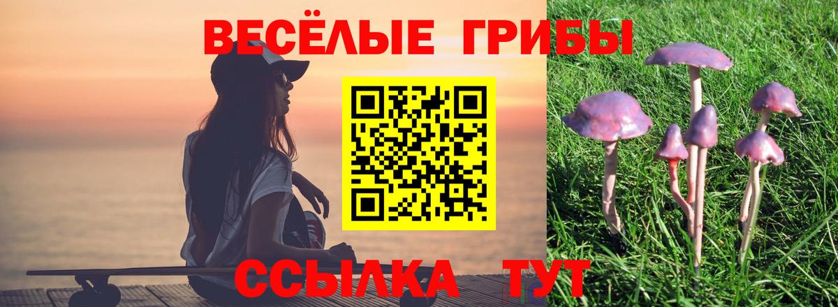Псилоцибиновые грибы мухоморы  Вход с VPN  Элиста 