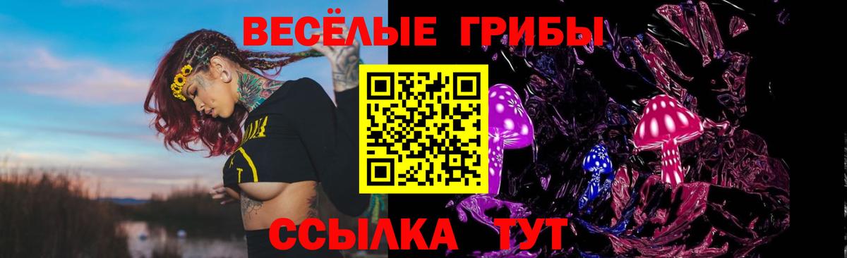 Галлюциногенные грибы ЛСД Элиста