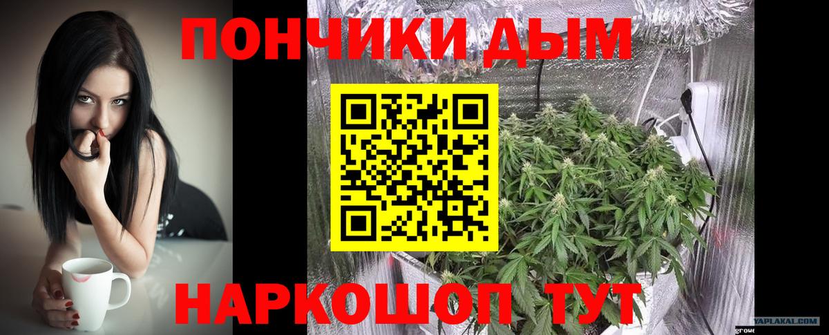 Каннабис конопля Элиста